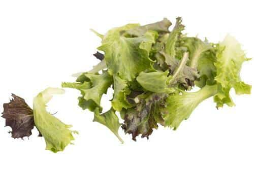 Chrunchy slamix indoor 250 gram