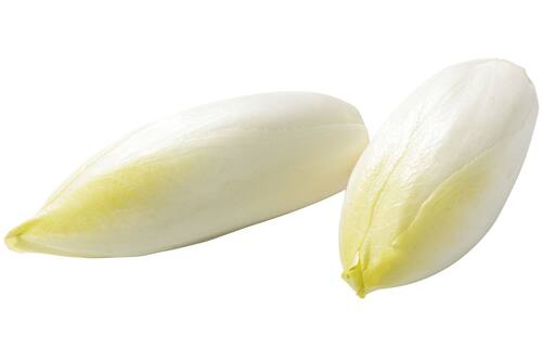 Witlof middel 11 - 15 cm zak 500 gram