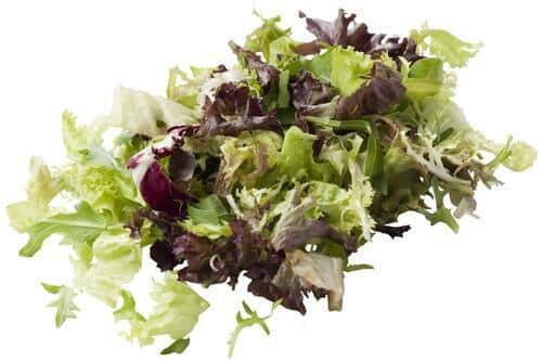 Rucola slamix zak 500 gram