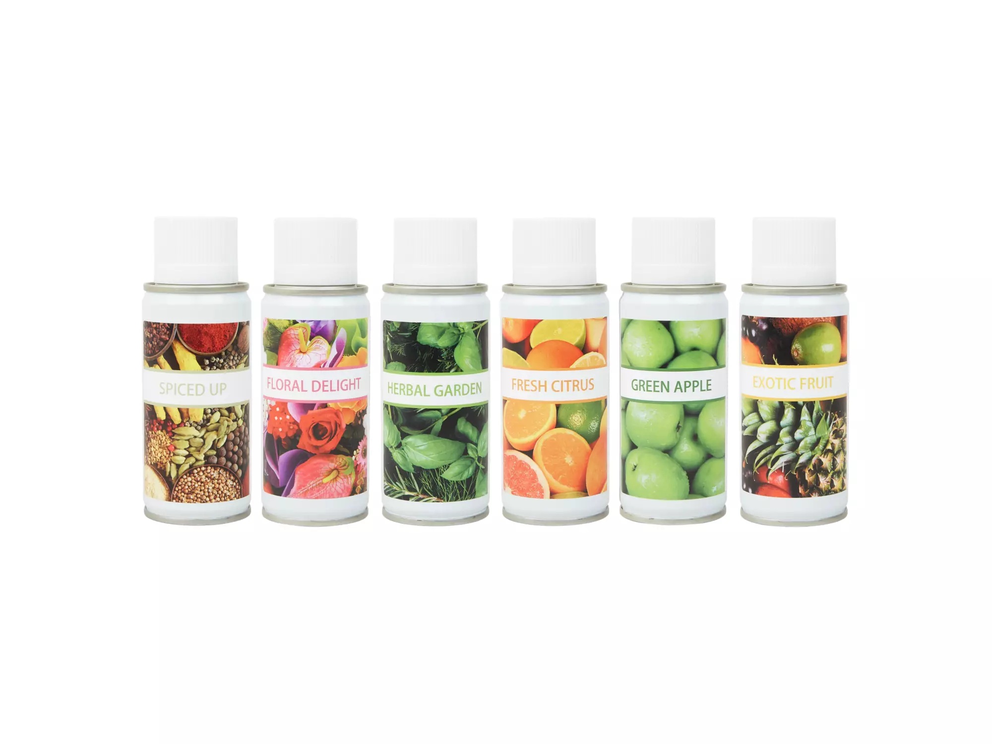 Euro Aerosol luchtverfrisser diverse geuren 12 x 100 ml