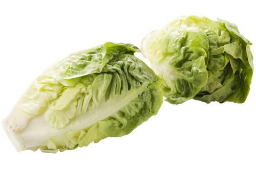 Little gem (kleine krop sla) 1 x 4 stuks