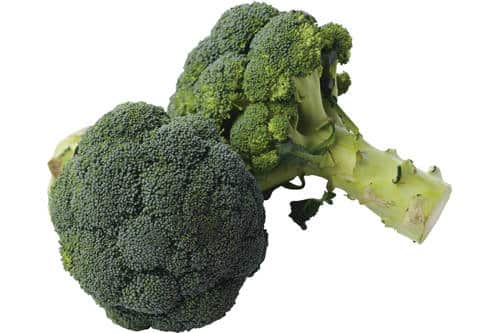 Broccoli kist 6 kilo