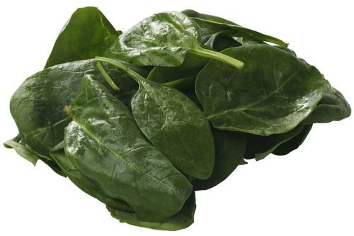 Spinazie vers gewassen 300 gram