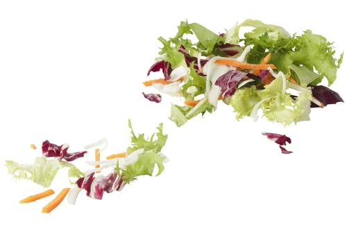 Slamix gemengde zak 500 gram