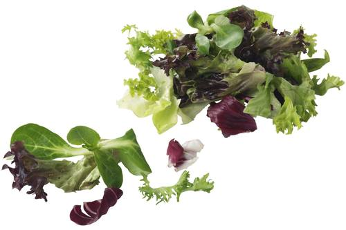 Slamix compleet zak 500 gram