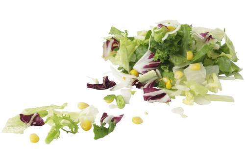 IJsbergsla melange zak 500 gram