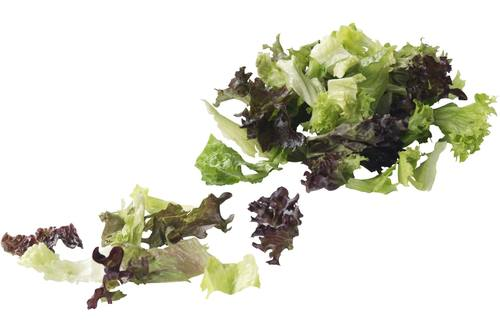 Romeinse slamix zak 500 gram