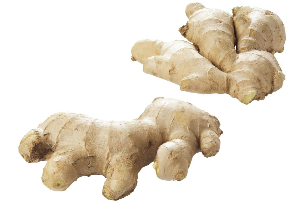 Gember vers per 1 kilo