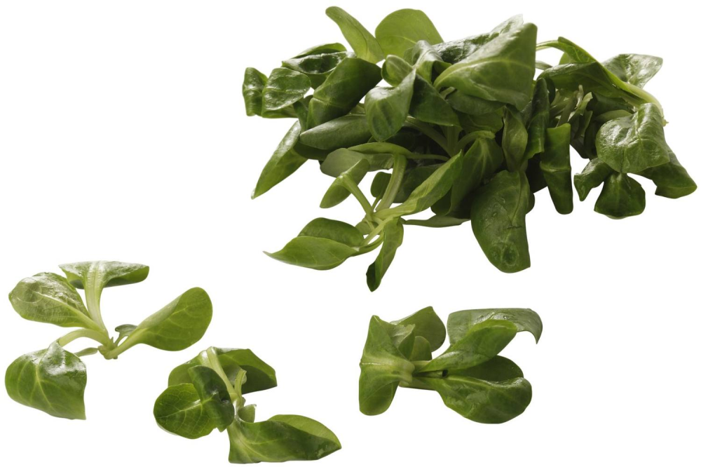 Mache sla zakje 125 gram