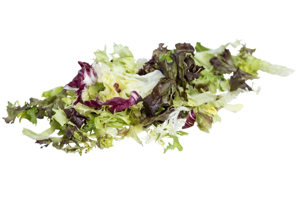 Fijne horeca slamix zak 500 gram