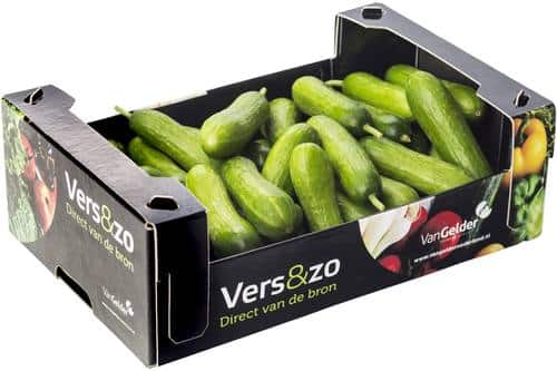 Komkommer snack doos 1 kilo