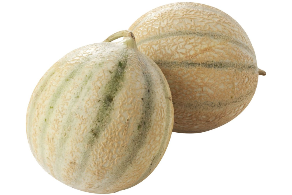 Meloen charentais per stuk