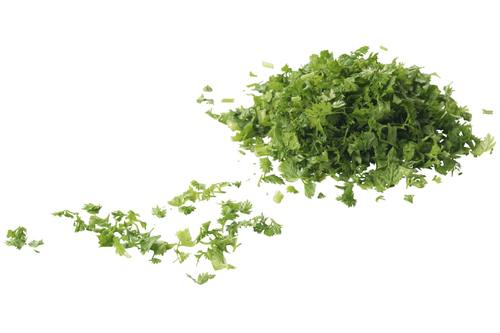 Kervel gecutterd zak 100 gram