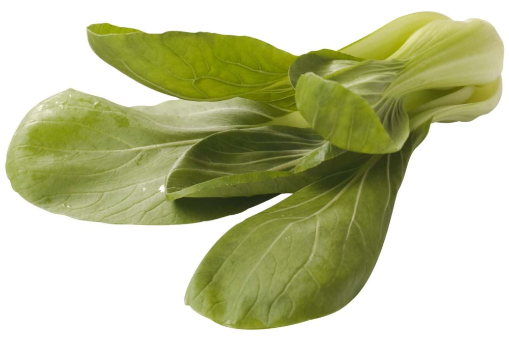 Shanghai paksoi verpakt per 500 gram