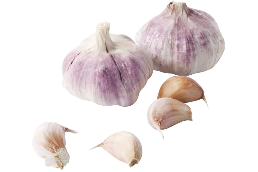 Knoflook rood per 1 kilo