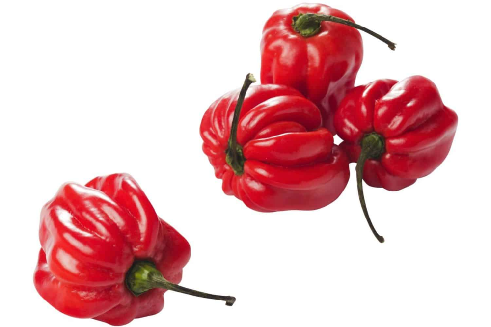 Madame jeanet pepers rood 250 gram