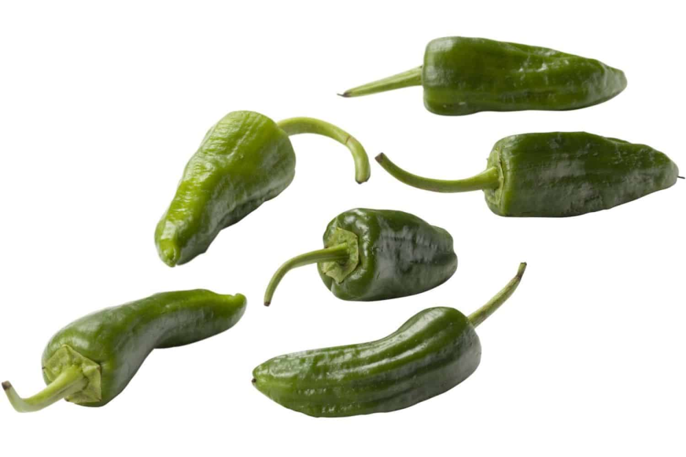 Pimiento de padron groene pepers 250 gram
