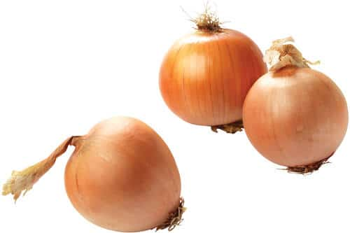 Uien bonken 100/120 zak per 10 kilo