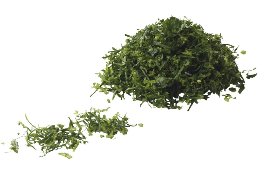 Selderij 4mm zakje 100 gram