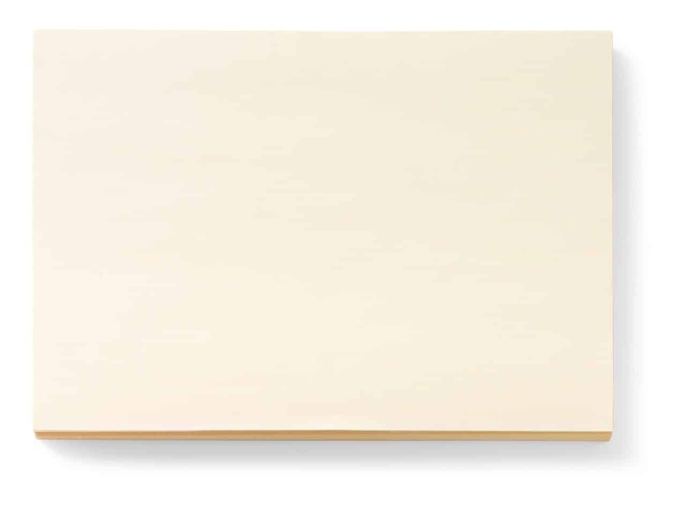 Take dis placemats champagne kleur 250 stuks