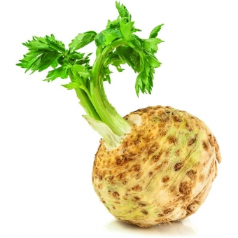 Knolselderij per stuk