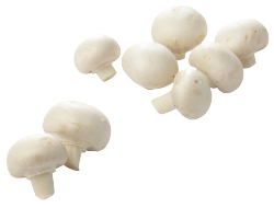 Champignon fijn 250 gram