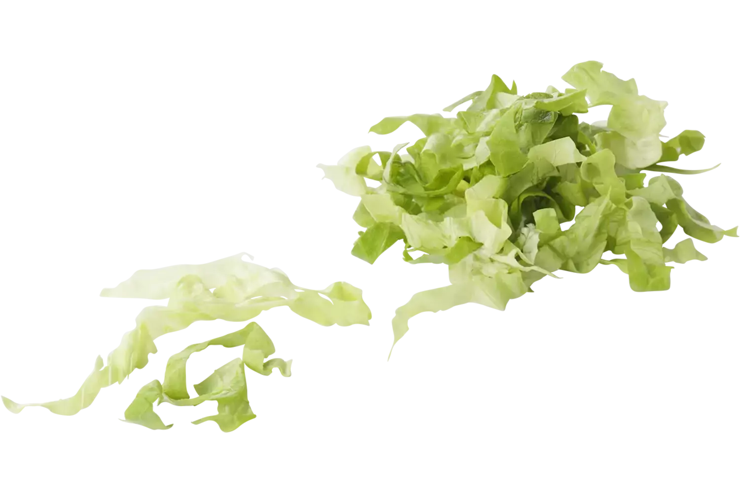 Andijvie gesneden 5 mm zak 1 kilo