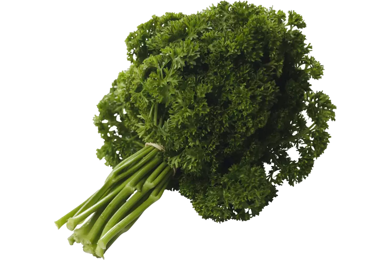 Krulpeterselie 80 gram per bos