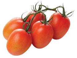 Pomodori tomaat kist per 6 kilo
