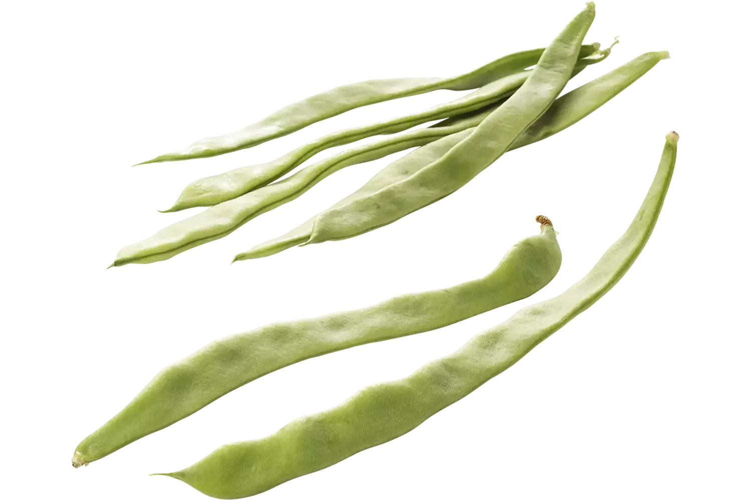 Snijbonen kist per 4 kilo