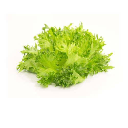 Lollo bianca per krop