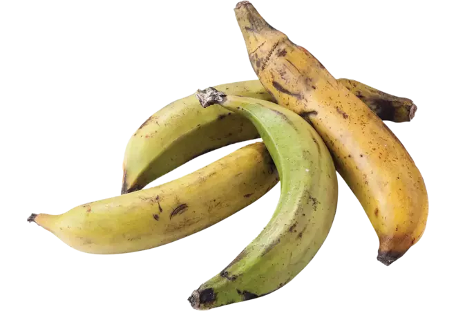 Bakbananen kist 5 kilo