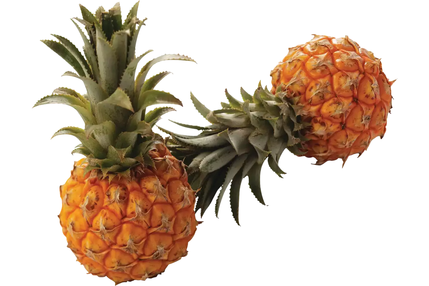 Baby ananas per stuk