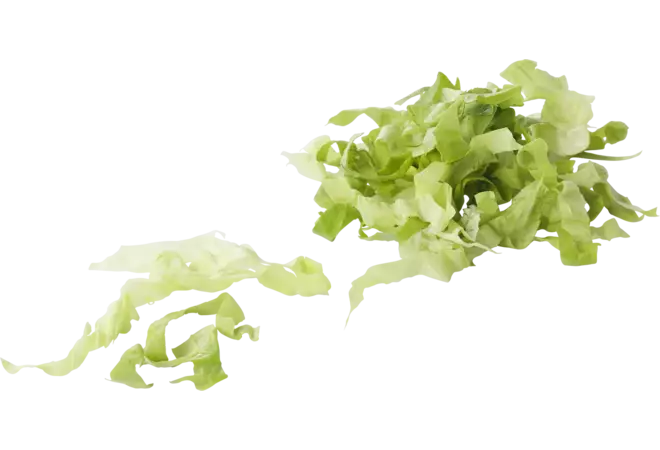 Andijvie gesneden 10 mm zak 1 kilo