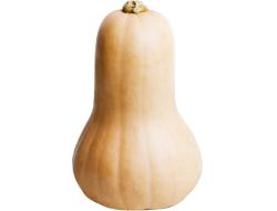 Fles pompoen +/_ 1,5 kilo per stuk