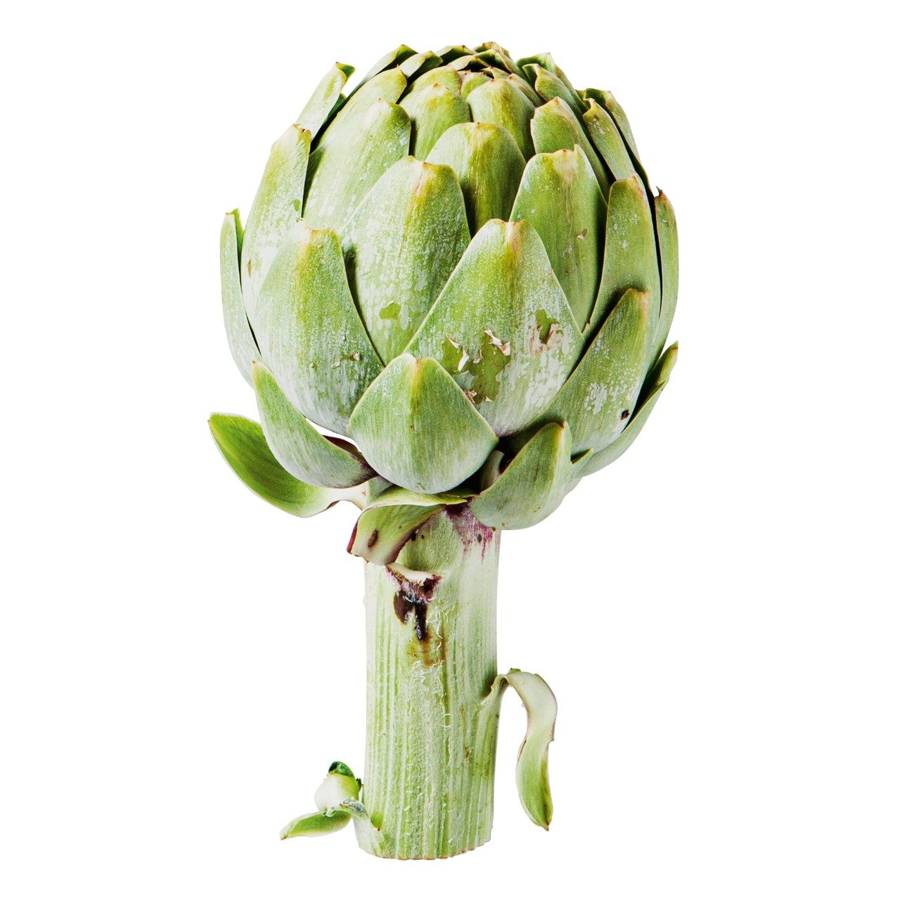 Artisjokken per stuk