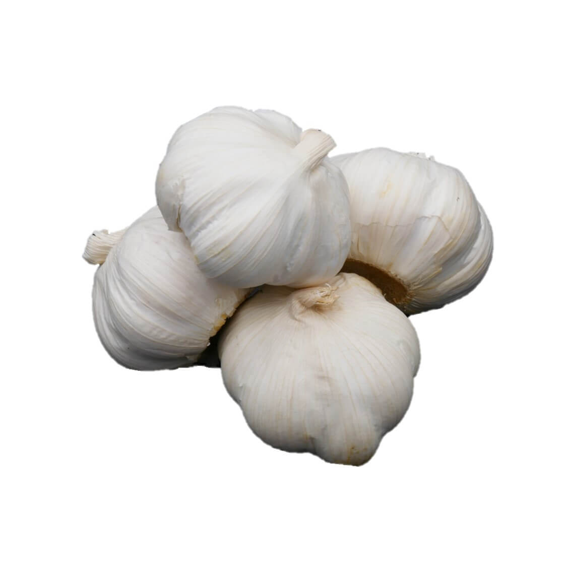 Knoflook vers per bol