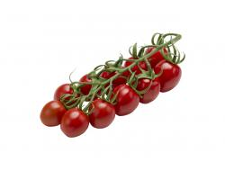 Mini tros pruim tomaten romantic doos per 3 kilo