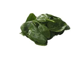 Spinazie vers gewassen 500 gram