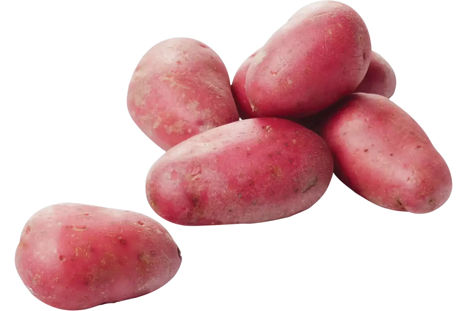 Roseval aardappels per 12,5 kilo