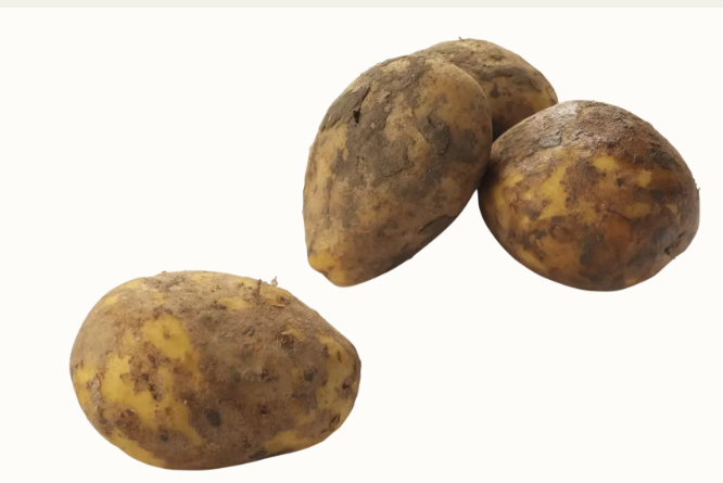 Bonken friet aardappel geborsteld zak per 2,5 kilo