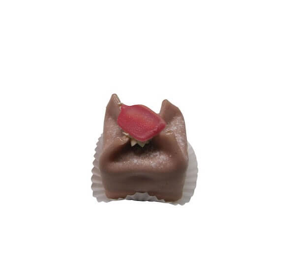 Kasteeltje
