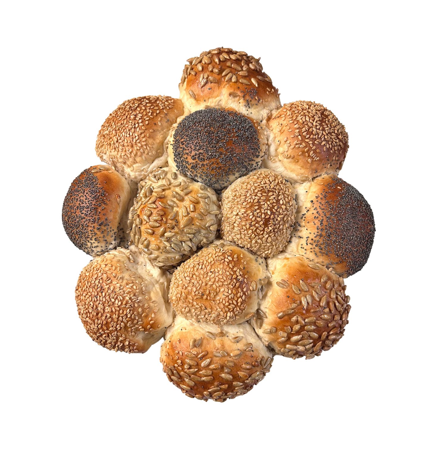 Breekbrood ei