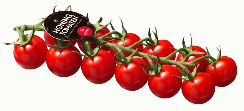 Honingtomaten Holland kist 3 kilo